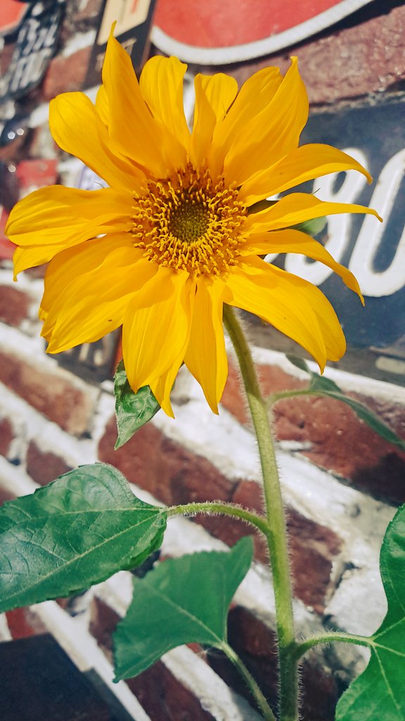 Buen dia Gente Linda 💫
Que tengan un Maravilloso Jueves .