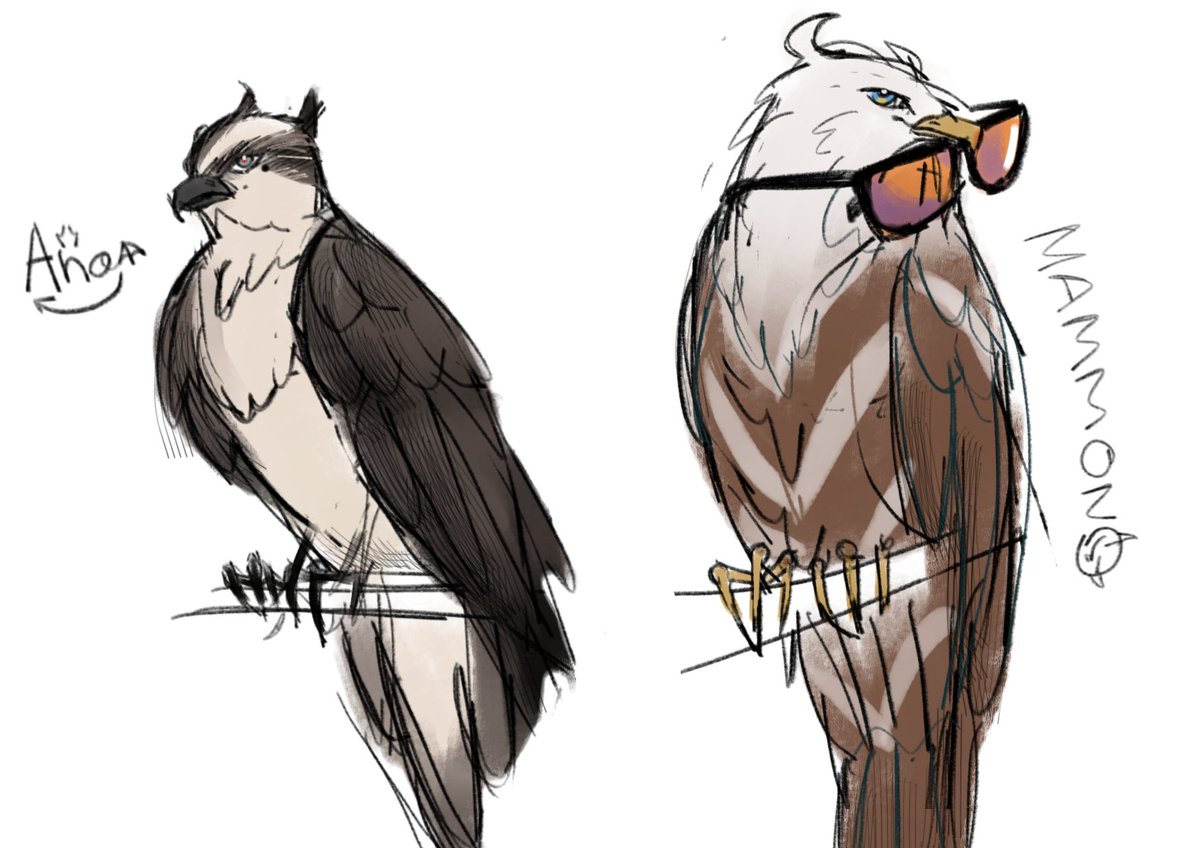 I wanted to learn how to draw birds, so...
Ana – Osprey 
Mammon – Pallas's fish eagle

#obeyme #obeymefanart #obeymemammon #obeymemc