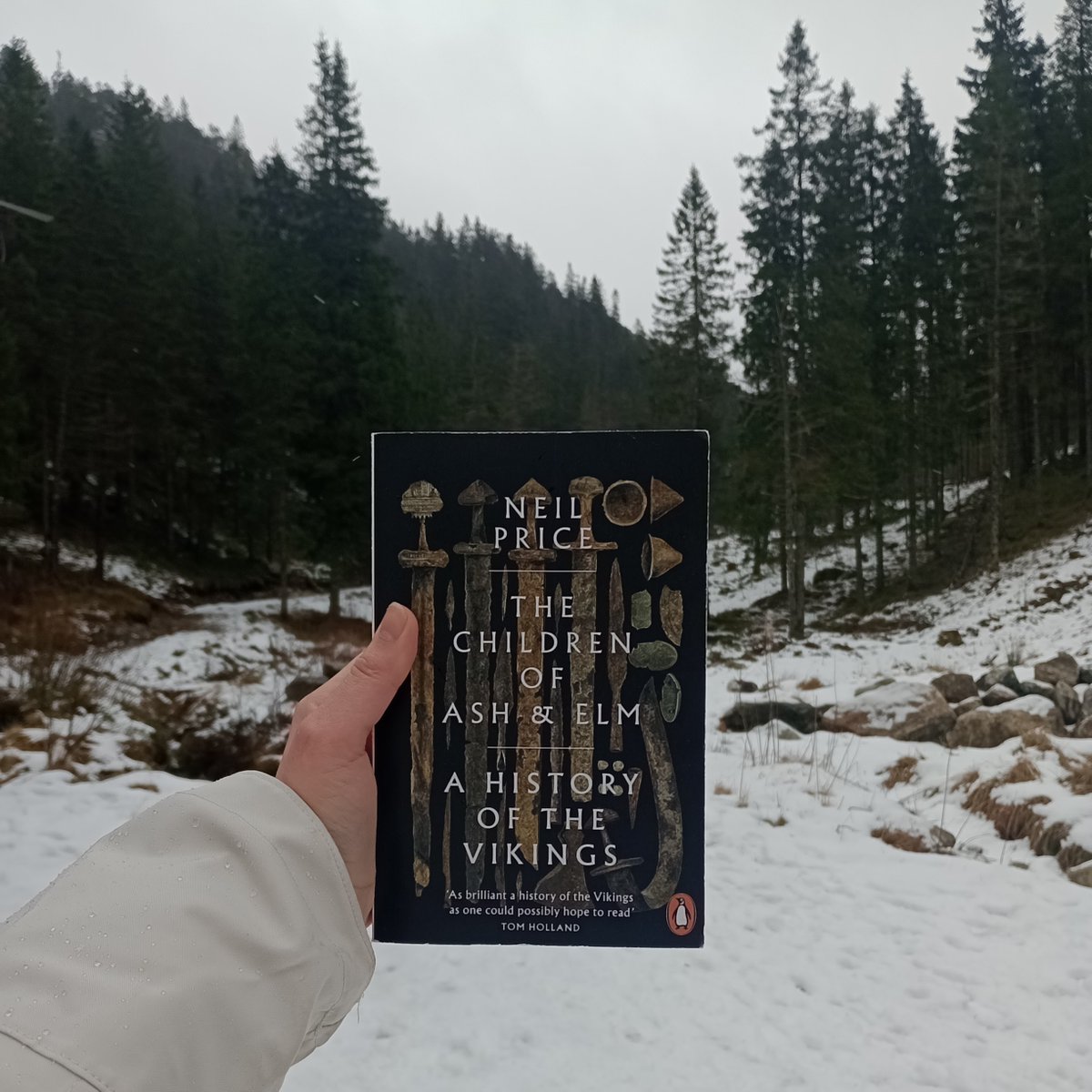 FictitiousBlog's tweet photo. A captivating treatment of Scandinavian history, The Children of Ash &amp; Elm challenges the often homogenous view we have of the Vikings, asking questions about the identities and motivations of these people ⚔️

https://t.co/dFB5wgXZx6

#BookTwitter #booktwt #BooksWorthReading https://t.co/V9NY8zXTSY