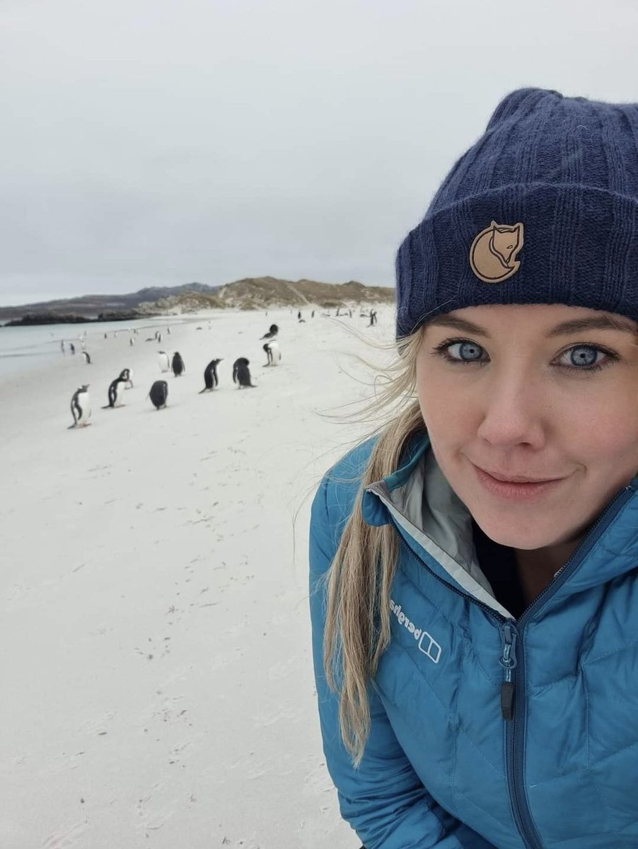 It's #WorldPenguinDay, and I still feel so privileged to have seen these lil business geese whilst in the Falklands last year. My absolute faves 🥰 🇫🇰 🐧