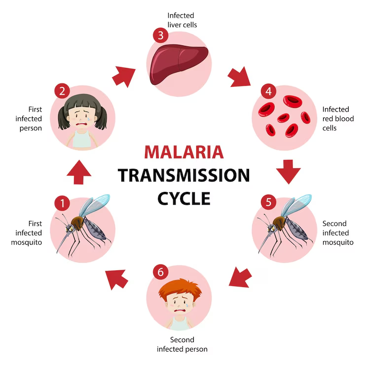 World Malaria Day!