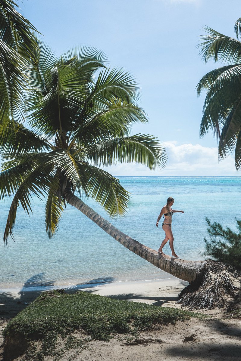 [Journée Mondiale du Soleil] Le saviez-vous ? Tahiti profite de près de 3000 heures de soleil par an, Los Angeles de 3250 heures ! ☀️ Leur point commun ? Ces 2 destinations de rêve sont desservies par Air Tahiti Nui au départ de Paris ✈️ 📷 ©Hello Travelers / World Else