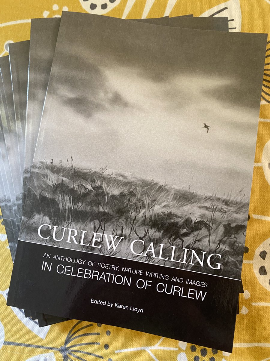 The curlews have landed! Please buy a copy to support the vital work of restoring lowland curlews. Thanks to all who contributed inc @MarkCocker2 @HarrietWrites @JonathanHumble and more! karenlloyd.co.uk/publications/c…