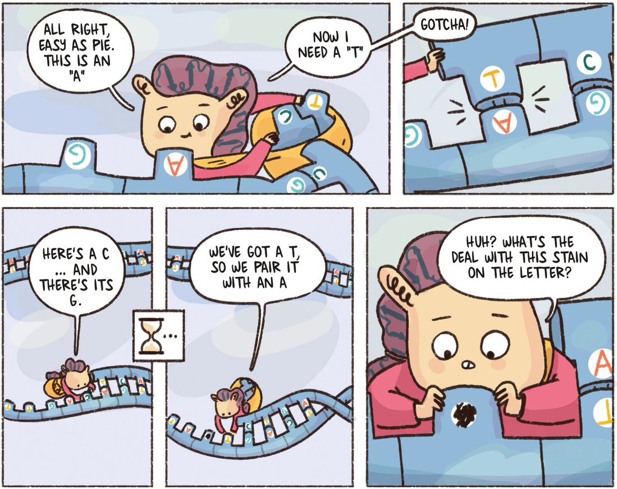Just on time for #DNADay let me introduce you to Pol the polymerase. Pol was happily replicating a strand of DNA when something unexpected happened... 1/6