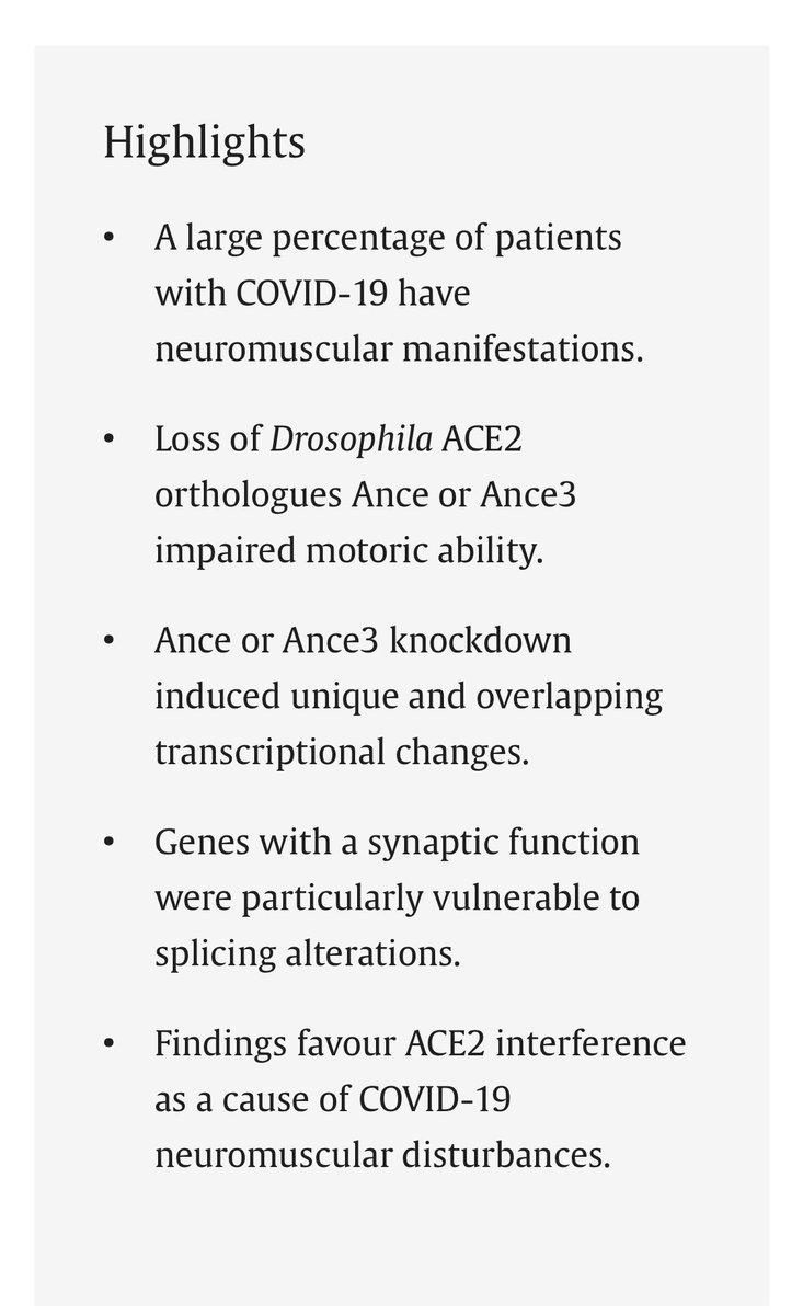 Interesting paper from December ‘23 about neuromuscular complications of COVID-19: 

“Our findings are […] supportive of the notion that loss of a RAS-independent function for ACE2 contributes to the neuromuscular manifestations associated with SARS-CoV-2 infection.”