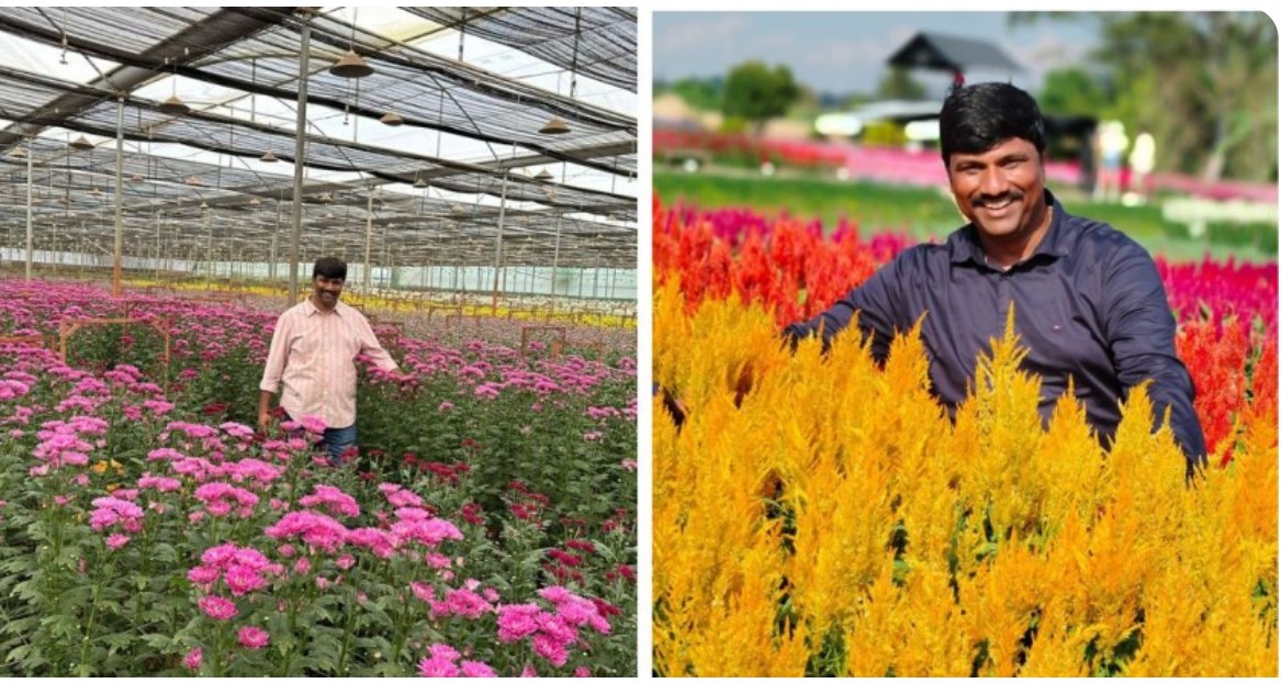 Instead, he embraced floriculture, a burgeoning industry in Bengaluru, and embarked on a path that would transform his life. shorturl.at/aeCNQ #fromfarmotoflorist #floriculture #organicfarming #vermicompost #inspiration