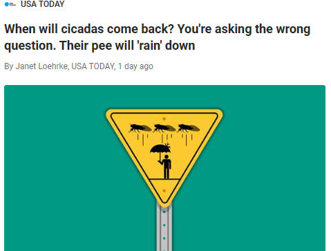 The phrase 'raining cats and dogs' originated in the 17th century. In 1983, the phrase 'raining men' emerged. I wonder what new term our weather forecasters will come up with for the imminent 2024 cicada invasion! ;>)👉rb.gy/5mwc76 #cicadas