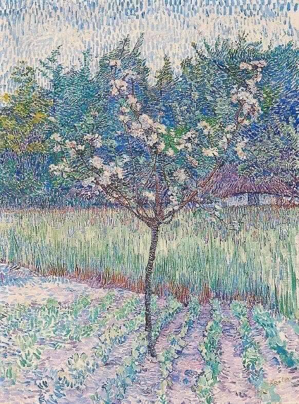 Jo Koster Albero in fiore “Blossomtree” (1915).