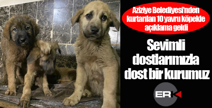 Aziziye Belediyesi; “Sevimli dostlarımızla dost bir kurumuz” erkhaber.com/aziziye-beledi…