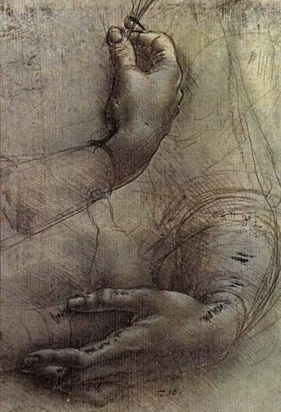 Study of Arms and Hands, a sketch by da Vinci popularly considered to be a preliminary study for the painting 'Lady with an Ermine' wikiart.org/en/leonardo-da…