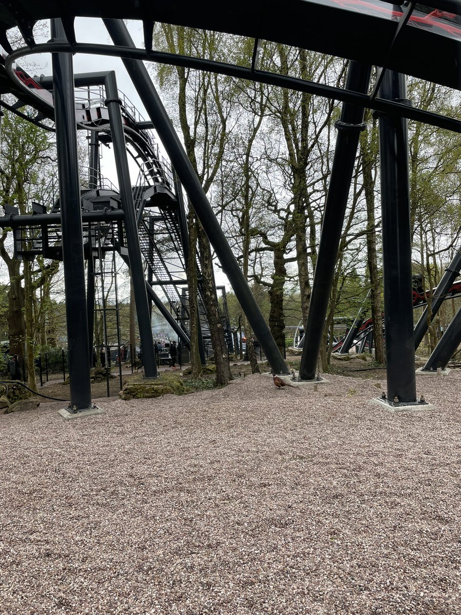 Mark 1898 tweet media