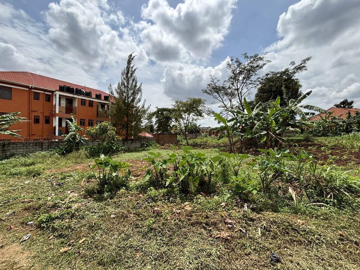 Prime land for sale:

Just 100 meters off Total Sonde town

Sonde town - Namugongo Road

Plot size: 50 decimals ~ 1/2 acre

Price: 299m ugx

For apartments | residential | school

100 meters off tarmac

+256 708 732 104