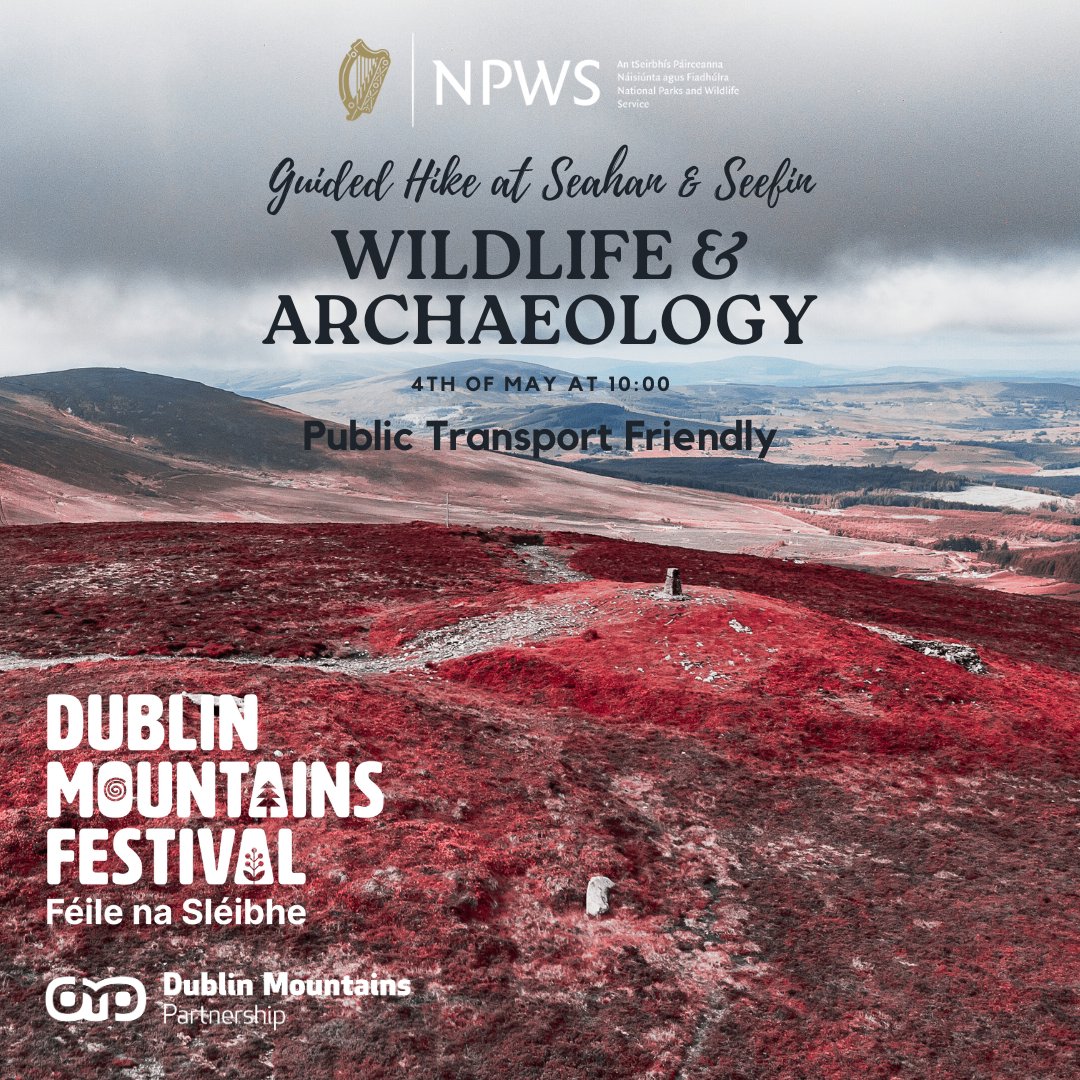Dublin Mountains Festival: Wildlife & Archaeology Guided Hike at Seefin & Seahan🦌 Public Transport Friendly. Saturday, 4th of May 10:00 - 13:00 Full details & booking link at dublinmountains.ie #DublinMountainsFestival #FéileNaSleibhe @NPWSIreland 📸 by @abartaheritage