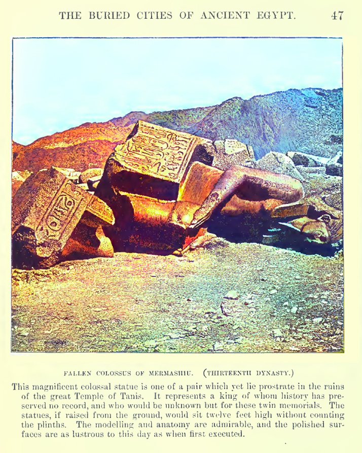 This magnificent colossal statue is one of a pair which yet lie prostrate in the ruins of the great Temple of Tanis. 'FALLEN COLOSSUS OF MERMASHIU (13th DYNASTY)'. Is this one still there🤔? 📷EGYPT AND ITS MONUMENTS, by AMELIA B. EDWARDS, 1891 Color: @history_rev