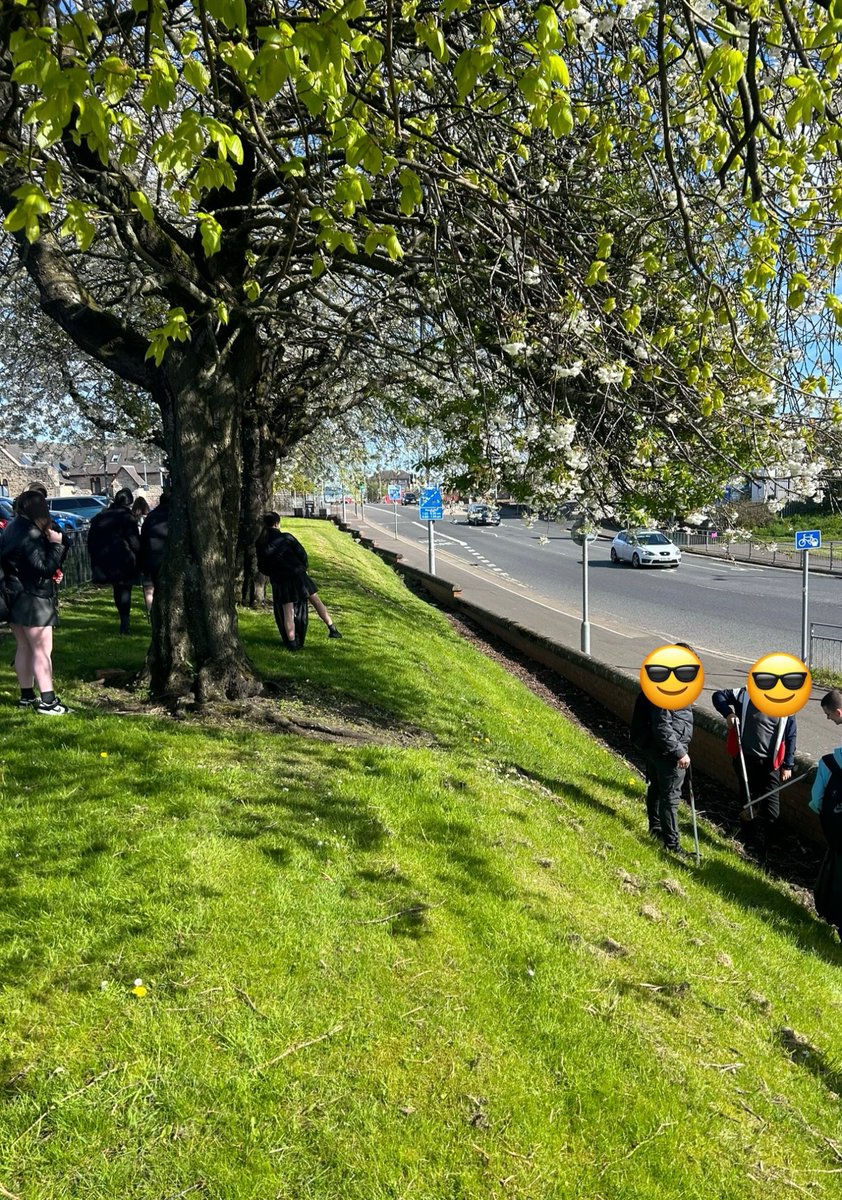 S1 have been learning about the environment during our Earth Day/Green Week lessons this week, today they did a litter pick to improve the environment in our community. Well done 👏 ♻️ #LfSHolyrood