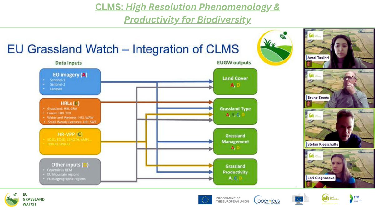 Stefan Kleeschulte from @space4env talked about the #EUGrasslandWatch service at yesterday's @CopernicusLand webinar on #HRVPP 🔎

He identified the key role played by #CLMS products and services to detect and monitor #Natura2000 grasslands 🌱

👇
cop4n2k.eu