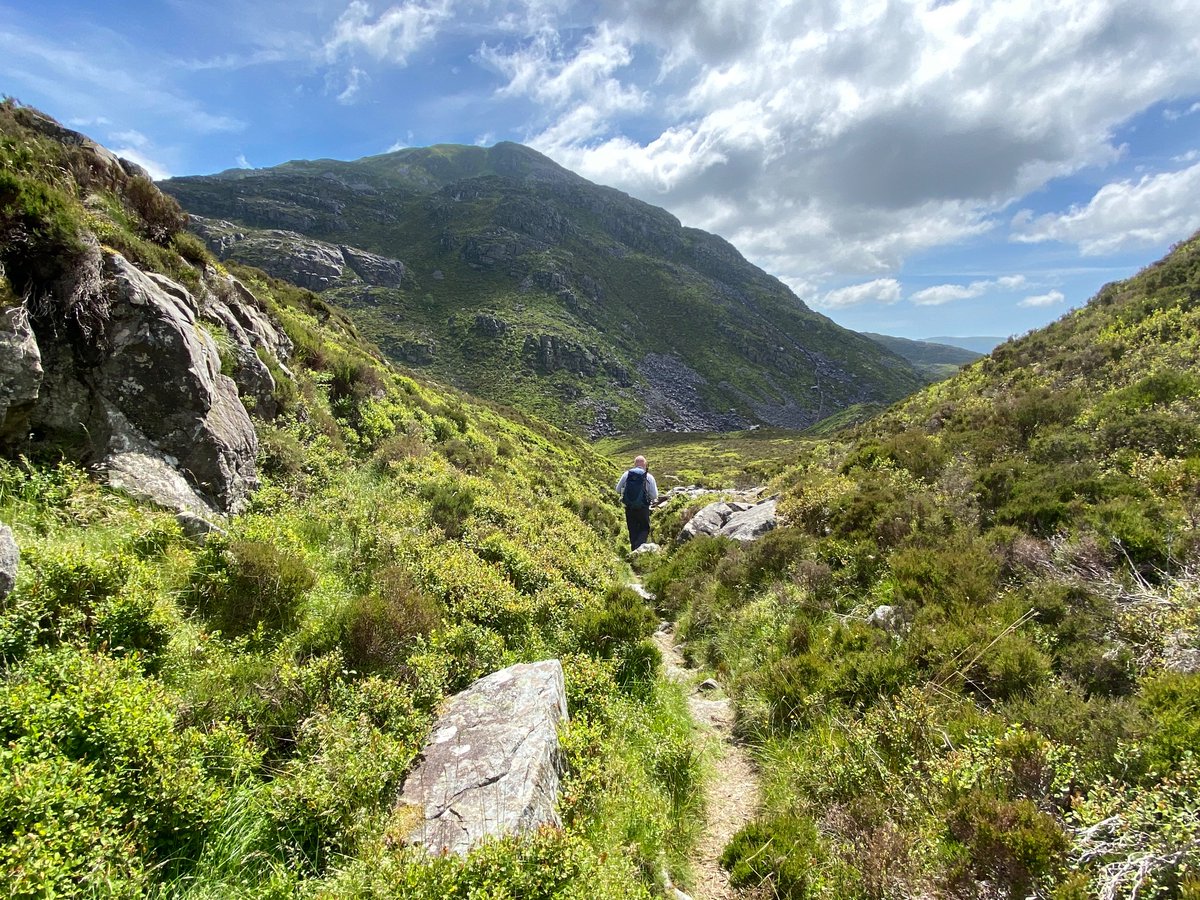 🏴󠁧󠁢󠁷󠁬󠁳󠁿 Pengwern: Self-catering. B & B. tweet media