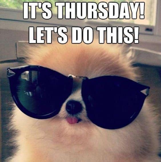 Good Thursday morning y'all. It's going to be a gorgeous day - high of 84 degrees 🌞😎 Soak up as much sunshine as you can☕️☕️😊🌹🦋⚓️🇺🇸