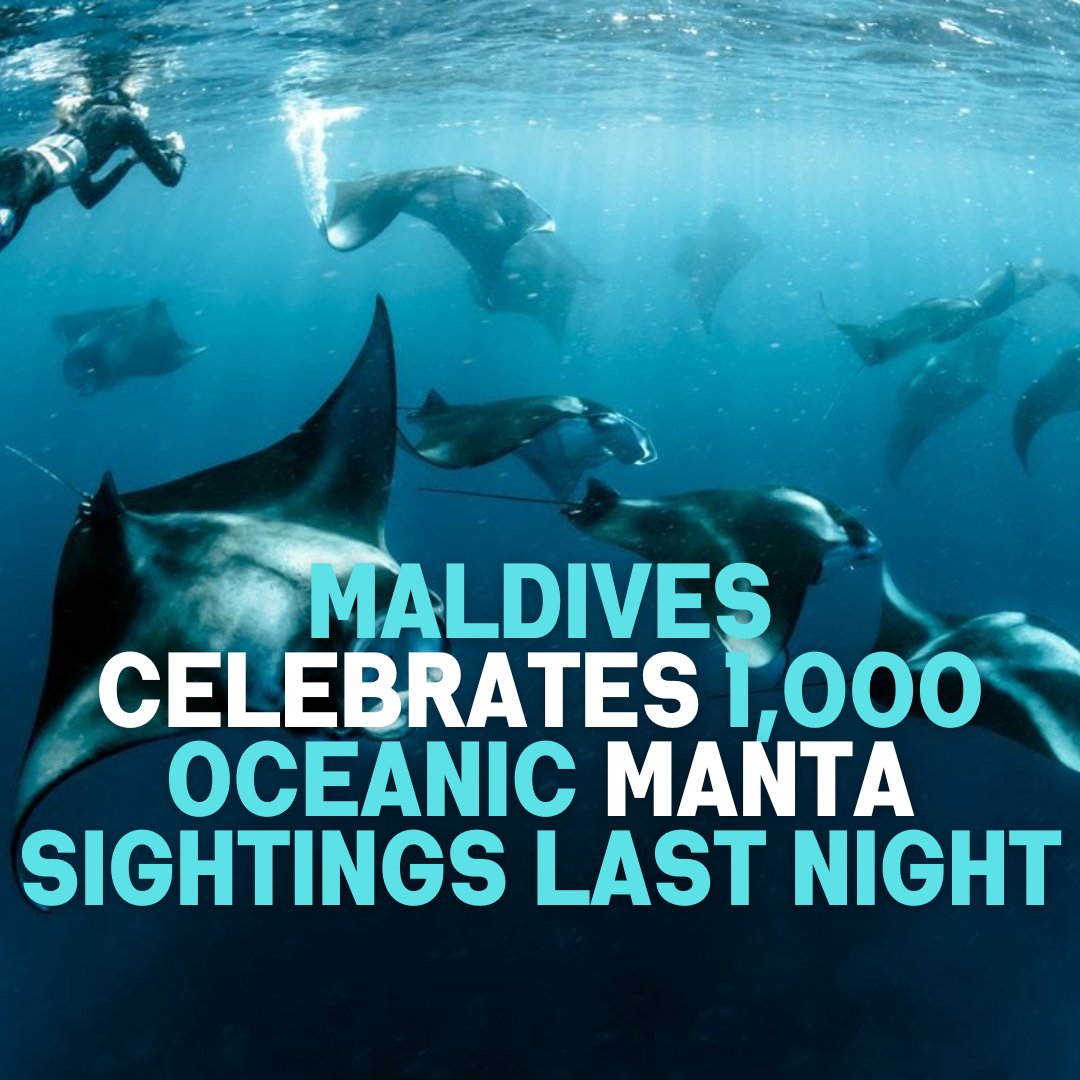 #SunnySideofLife #MMPRC #ministerfaisal #MaldivesMarketing #worldwide #strength #VisitMaldives #bestdestinationstotravel #hallomaldives #resorts #maldives #mmprc #maldivestourism #MTDC #AirlineNews #maldives
