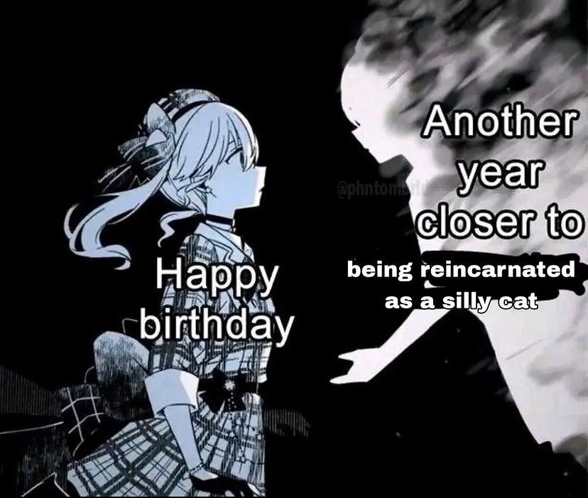 Punch Cat (@punchingcat) on Twitter photo 