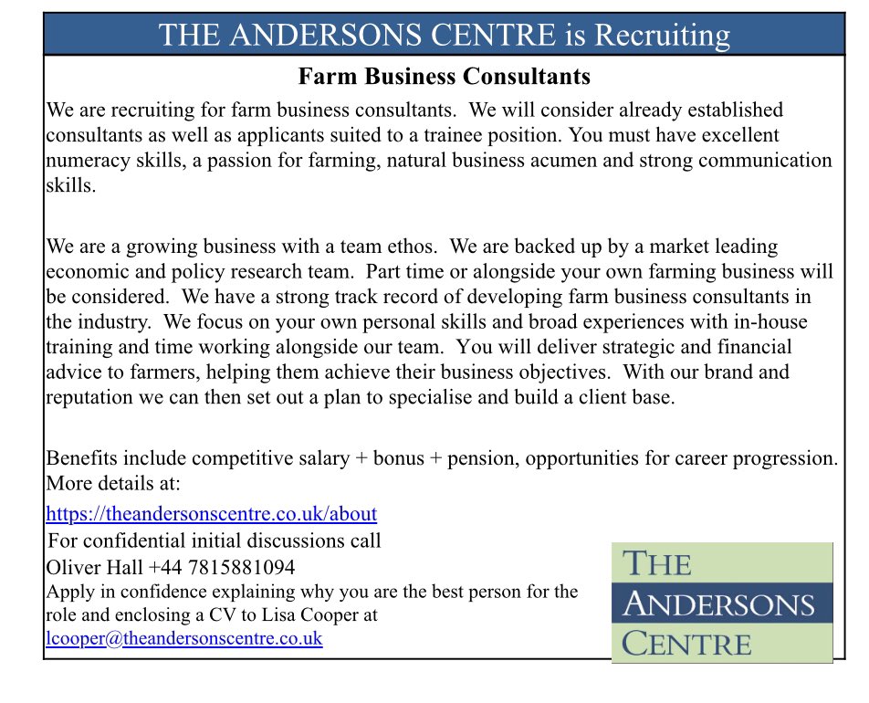 Oliver Hall tweet media