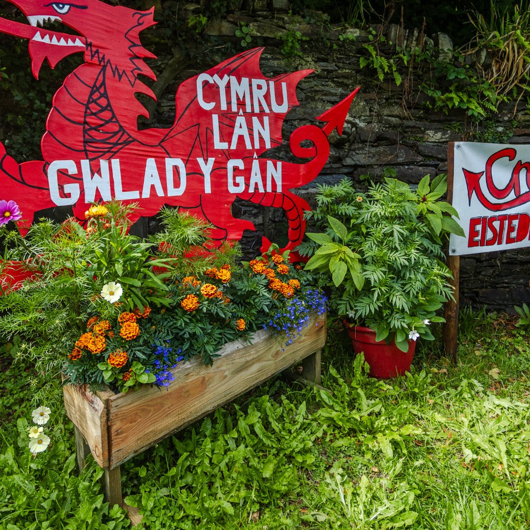 🌺 Rhondda Cynon Taf Communities, how about getting your area ready to show that you’re eager to welcome new visitors? 💫 Take a look at our 'Harddu / Decorating Pack' for some inspiration eisteddfod.wales/festival/2024/…