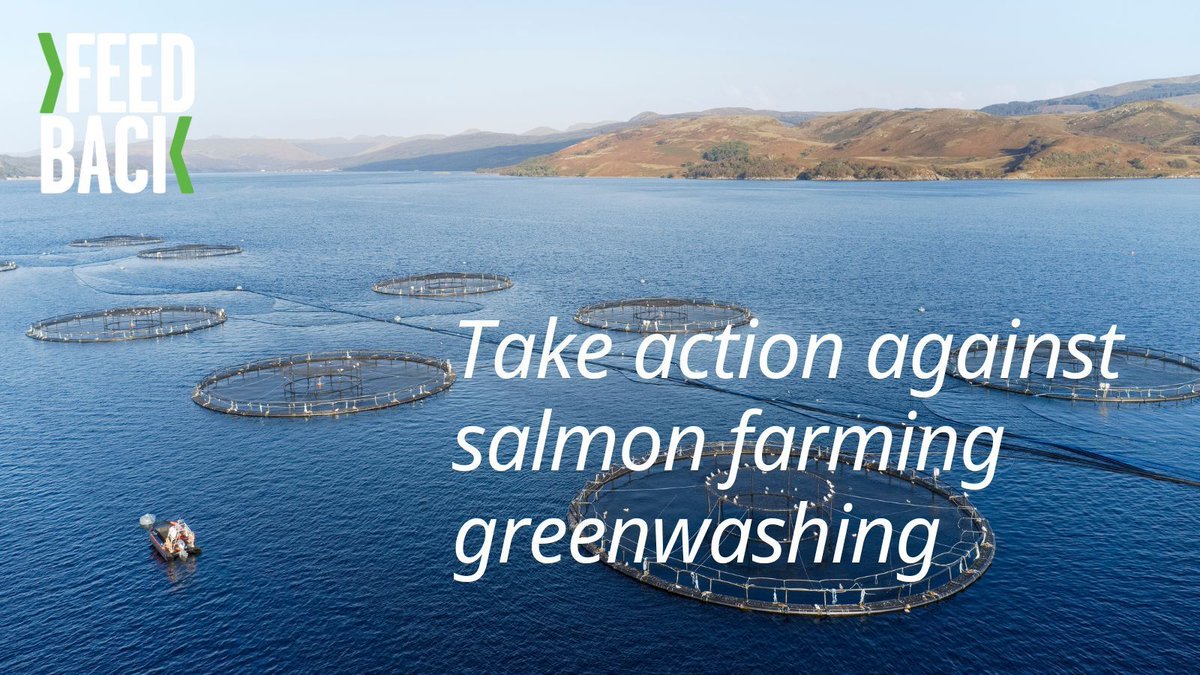 📢Tell the government you want clear labelling on farmed salmon. 

📚The government is consulting on how they should label farmed fish and other seafood. 

👊Take action now and submit a response to their consultation. 

buff.ly/3JCOiaE 

#farmedsalmon #foodjustice