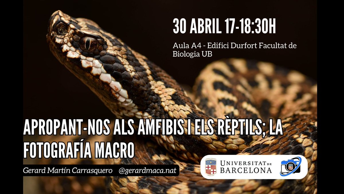 🦎📸 Xerrada «Apropant-nos als amfibis i rèptils; la fotografia macro» a càrrec de Gerard Martín Carrasquero. 📅 Dimarts 30/04 🕔 17:00-18:30 📌 Aula A4 Ed. Durfort 🗃️ Organitza @fotografiaUB