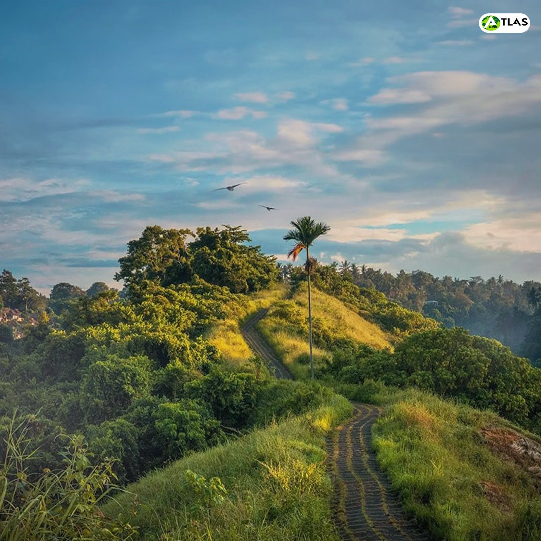 Nestled in the northeastern corner of India lies a hidden gem.

Aptly known as the 'Land of Eternal Spring,' Jampui Hills offers breathtaking landscapes, a mild climate year-round, and a unique cultural experience that beckons adventurous travelers.

#exploreindia #atlastravel