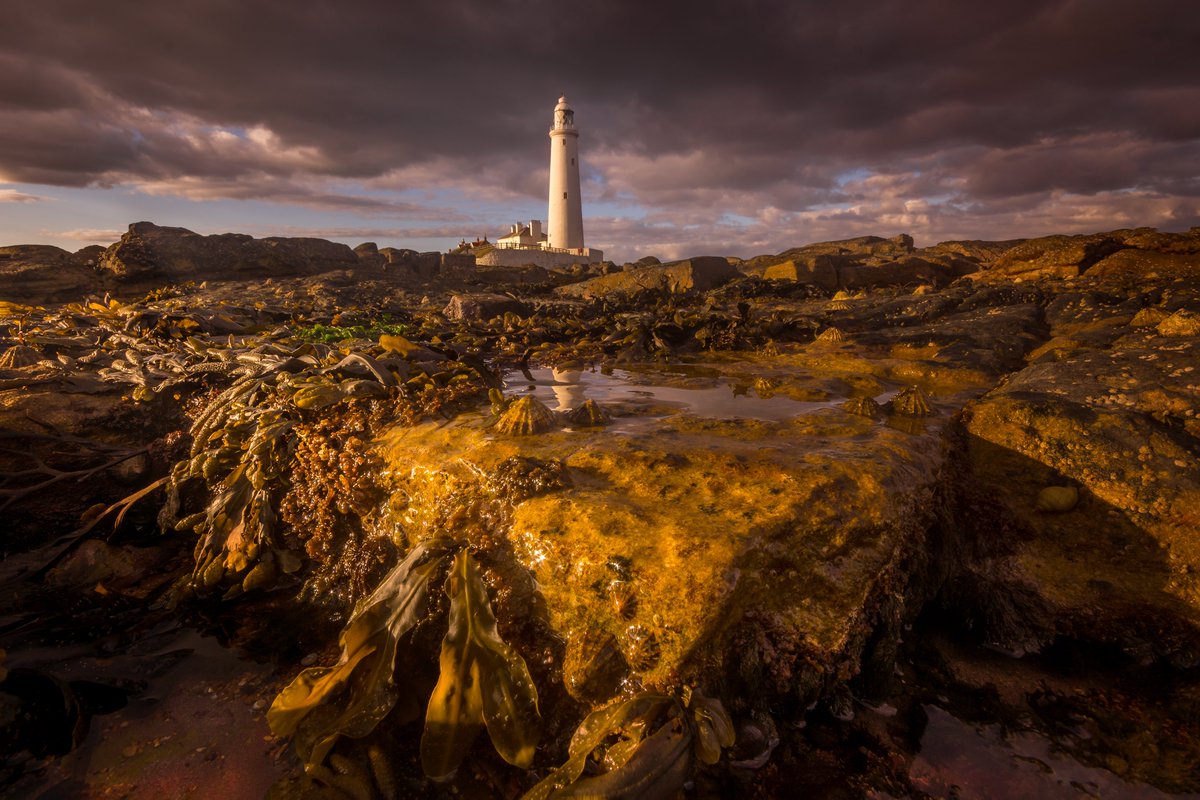 St. Marys Lighthouse.

@Pexels #WhitleyBay #Northumberland #Newcastle