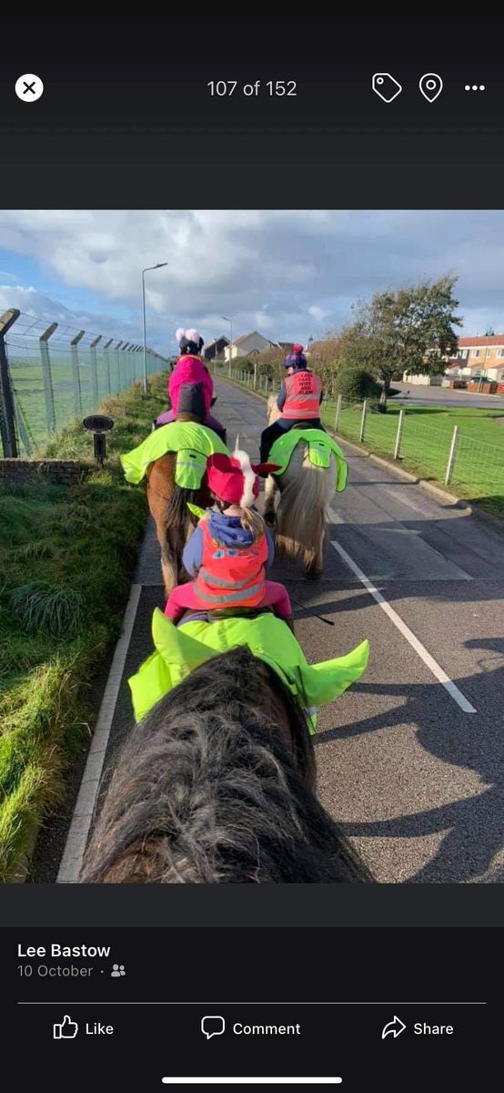 Passing horses - Most drivers are aware to pass a horse 'WIDE AND SLOW' Slow down - to max of 10mph Be patient - do NOT sound horn or rev engine Wide and slow - pass the horse allowing at least 2 meters of space when possible Drive slowly away Take extra care on rural roads