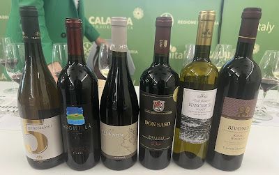 La Calabria sta diventando sempre di più  importante a livello vitivinicolo grazie ad una nuova consapevolezza dei tanti bravissimi vignaioli che da anni preservano un patrimonio ampelografico unico. oggi approfondiamo i vini della punta dello stivale

buff.ly/4baTcHP