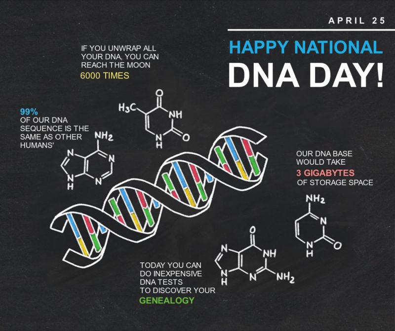 Happy #NationalDNADay 🧬 DNA: The Secret of Life

#اليوم_العالمي_للحمض_النووي_DNA شفرة الحياة والذي يحمل جميع المعلومات الاساسية لبناء الكائن الحي من بداية نشأة النطفة وحتى موت الانسان🧬