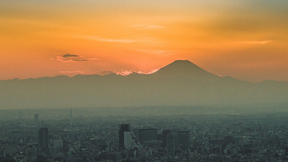 NDaisuki's tweet photo. TOKYO FROM ABOVE
2018 / 2020
#Japan #JapanFirstLook #streetphotography #canonphotography #tokyo https://t.co/LrrdZmRMmB