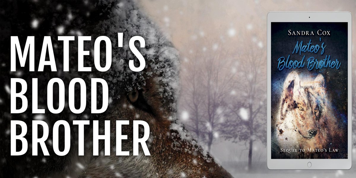 MATEO’S BLOOD BROTHER by @Sandra_Cox. tinyurl.com/MateosBloodBro… Behind the amiable facade is a man who’s tough and determined. He’s Mateo’s Blood Brother. Sequel to MATEO’S LAW. ⭐#KindleUnlimited ⭐ #werewolves #western #romance #paranormal #PNR #shifters #books #ebooks