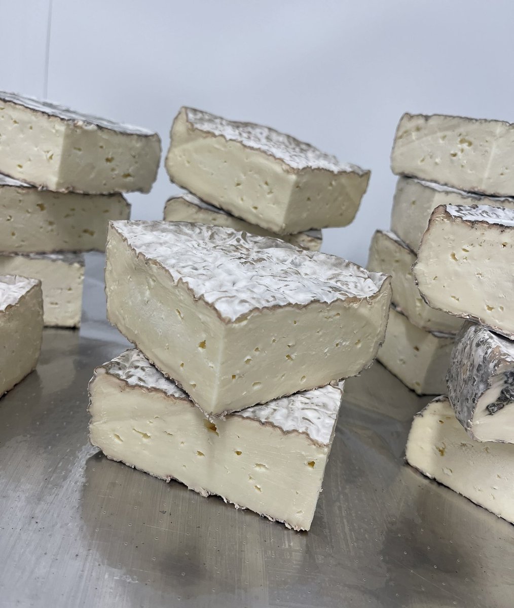 Claire Burt (@burtscheese) on Twitter photo Our Drunken Burt… looking good for <a href="/treaclemarket/">Treacle Market</a> this Sunday!
#cheesemaking #cheese #morethanjustcheese #morecheeseplease #cheeselover #allthecheese #cheeseenthusiast #cheesestagram #artisancheese
#cheesemakingworkshop #lovecheese #cheeselovers #fromage #cheesemakers Our Drunken Burt… looking good for <a href="/treaclemarket/">Treacle Market</a> this Sunday!
#cheesemaking #cheese #morethanjustcheese #morecheeseplease #cheeselover #allthecheese #cheeseenthusiast #cheesestagram #artisancheese
#cheesemakingworkshop #lovecheese #cheeselovers #fromage #cheesemakers