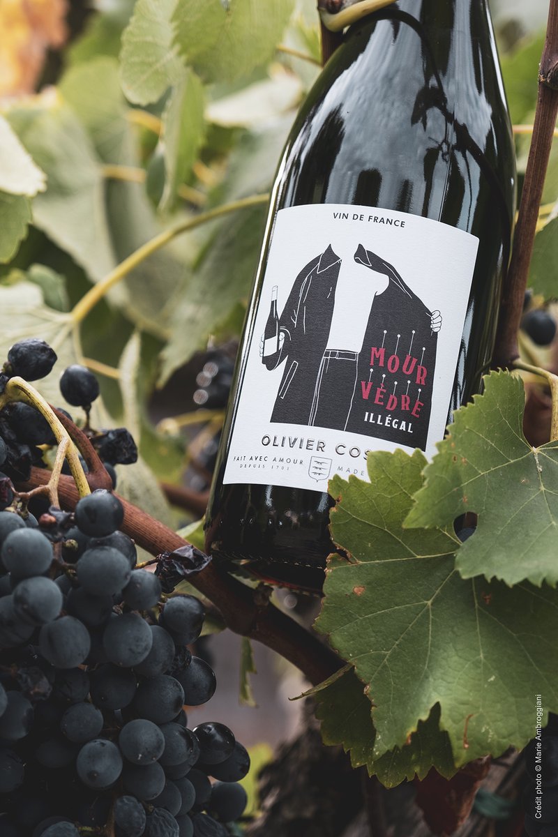 Firstly, a single varietal Mourvèdre is less commonly available. Secondly, after we’ve tasted other Mourvèdre dominant red, this one is ILLEGALLY … surprising!

🍷

#mourvedre , #southernfrance , #domainemontrose , #oliviercoste , #carbonneutral