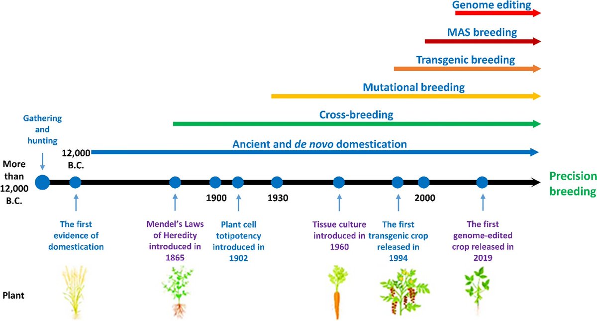 🧬🧩🌾💻👨‍🎓🧩📲👨‍🌾📈💚👍🍞📈 
RT: Abiotic Stress Tolerance in Plants🌾🌱@AbioticStress
Comprehensive review 
✔️#GenomeEditing & beyond: what does it mean for the future of plant #breeding?
link.springer.com/article/10.100…
#GeneticEngineering #genomics #biotechnology #NGT 
#plantbreeding