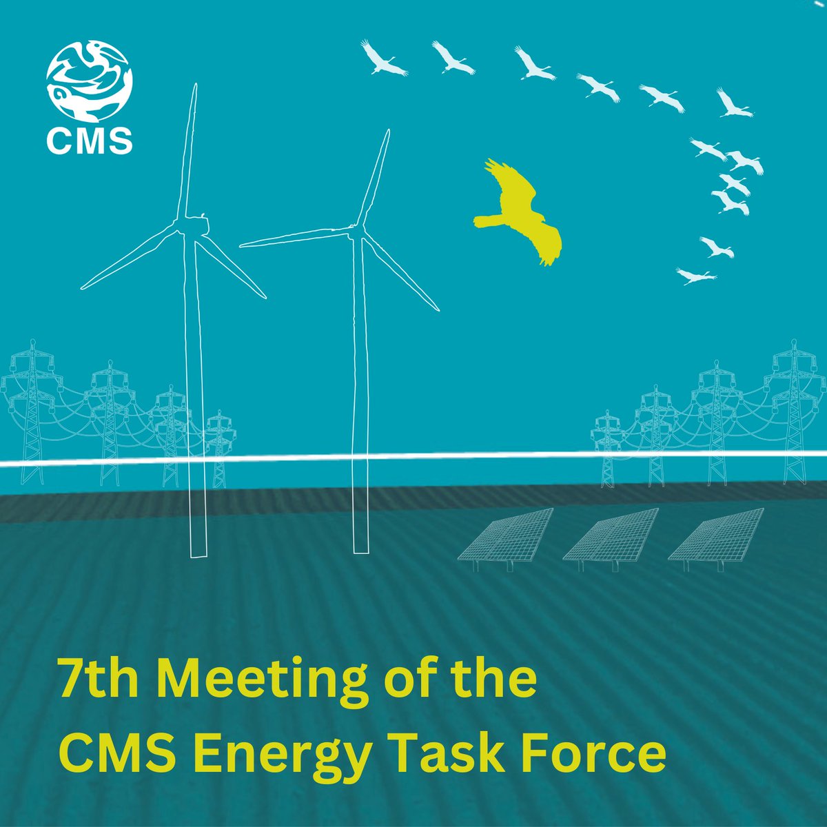The planet needs energy that is good #ForNature! CMS Energy Task Force Meeting underway in Madrid, Spain. The ETF helps promote use of guidance and tools for the sustainable deployment of renewable energy! Learn more: cms.int/en/taskforce/e…