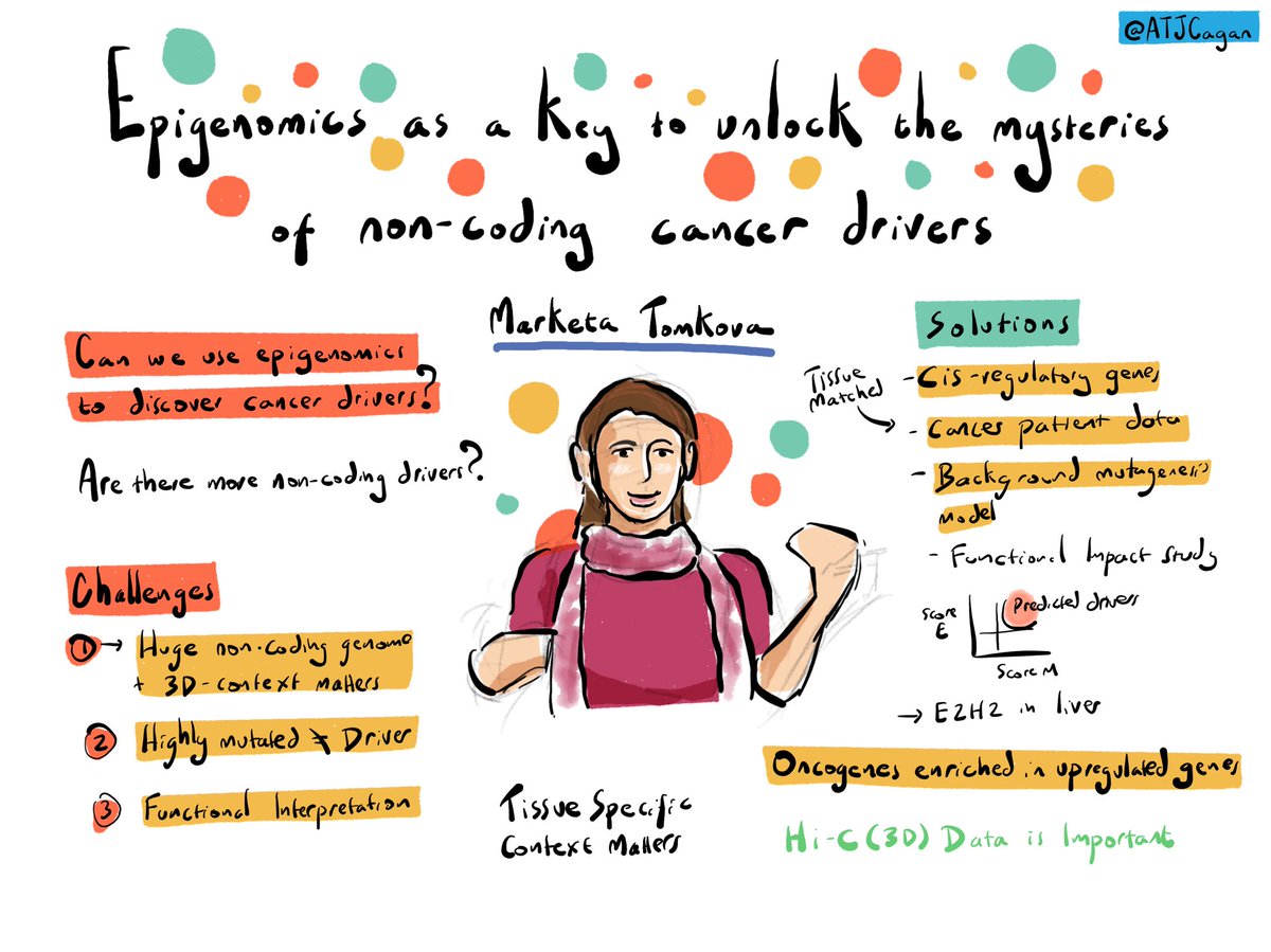 Marketa Tomkova on epigenomics as a key to unlock the mysteries of non-coding cancer drivers #MITS24
