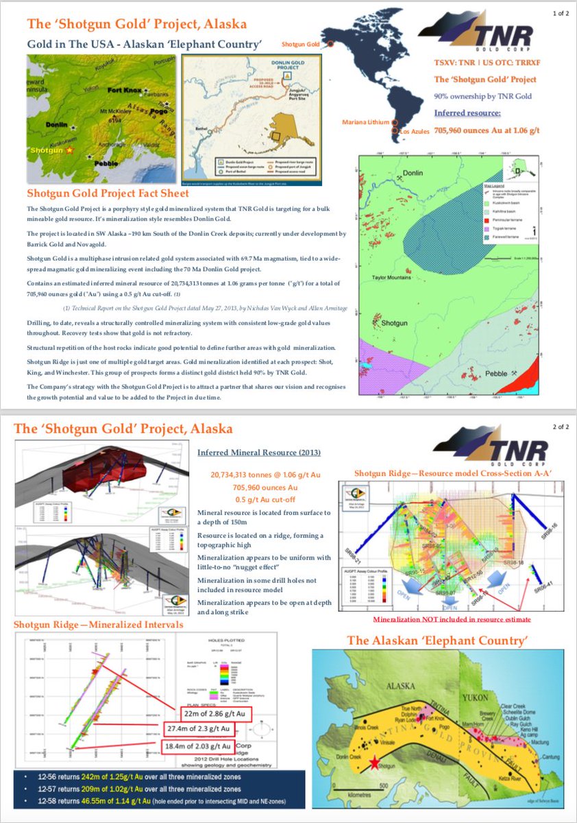 #TNRGold's main focus of effort over the coming months is to be on moving #ShotgunGold forward to the point where a major company moves in and begins to help with development work in Alaska.
kirillklip.blogspot.com/2024/02/tnr-go… #Gold $GDX $GDXJ 

#GoldInUSA $NG $ABX #DonlinGold $NEM $KGC $AEM
