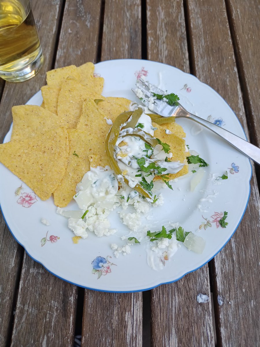 Ngomongin tentang kaktus, ternyata di meksiko si Opuntia ini jadi bahan pangan. Pernah dikasih kawan dr meksiko semacam acar Opuntia buat topping nachos. Teksturnya tebal kenyal dengan rasa asam-asin