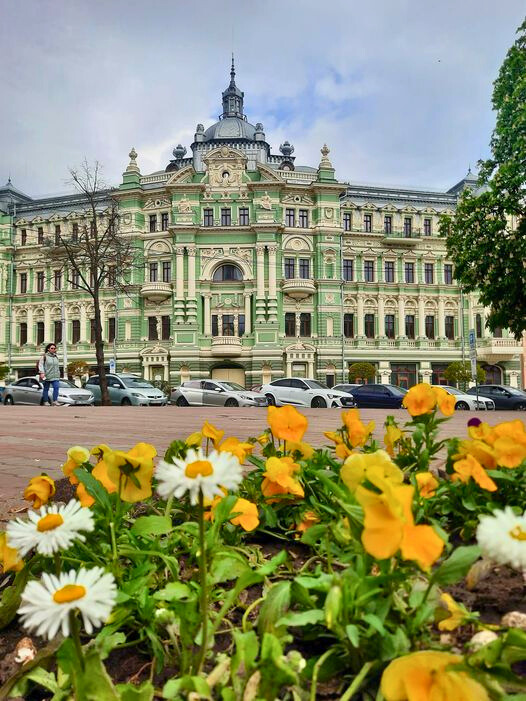 🌼 The flowers beckon to bees and butterflies, which flutter over the flowerbed like tiny elves. In contrast to the majestic façade of the historic building that towers above them. #Odesa #Ukrainian #Ukrainians #Ukraine #Flowers #flowerphotography #FlowersOfTwitter #photography