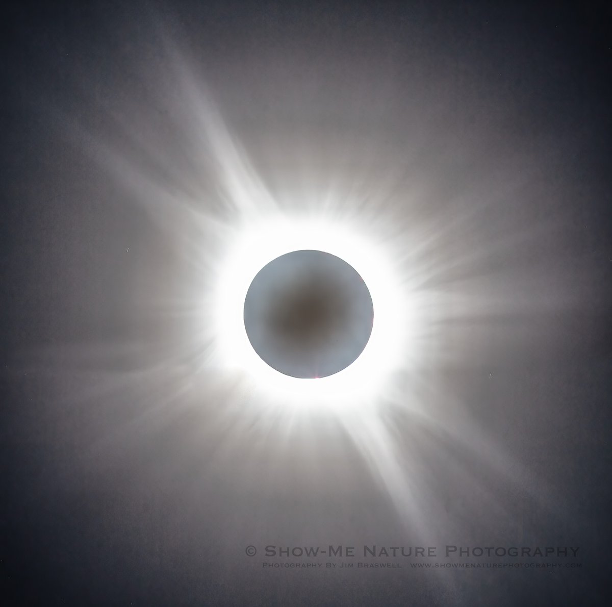 ShowMeNature's tweet image. For Afternoon: &quot;Creme de la Creme&quot; tinyurl.com/2vz4f3h4 #Total_Solar_Eclipse #corona #nature_photography #astrophotography