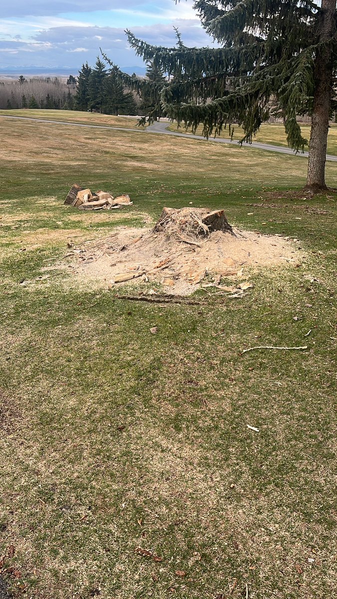 MartinCarringt3's tweet photo. Some Big wood in Calgary, We are making headway
Enjoy the day work safe everyone. https://t.co/5luRVXgun5