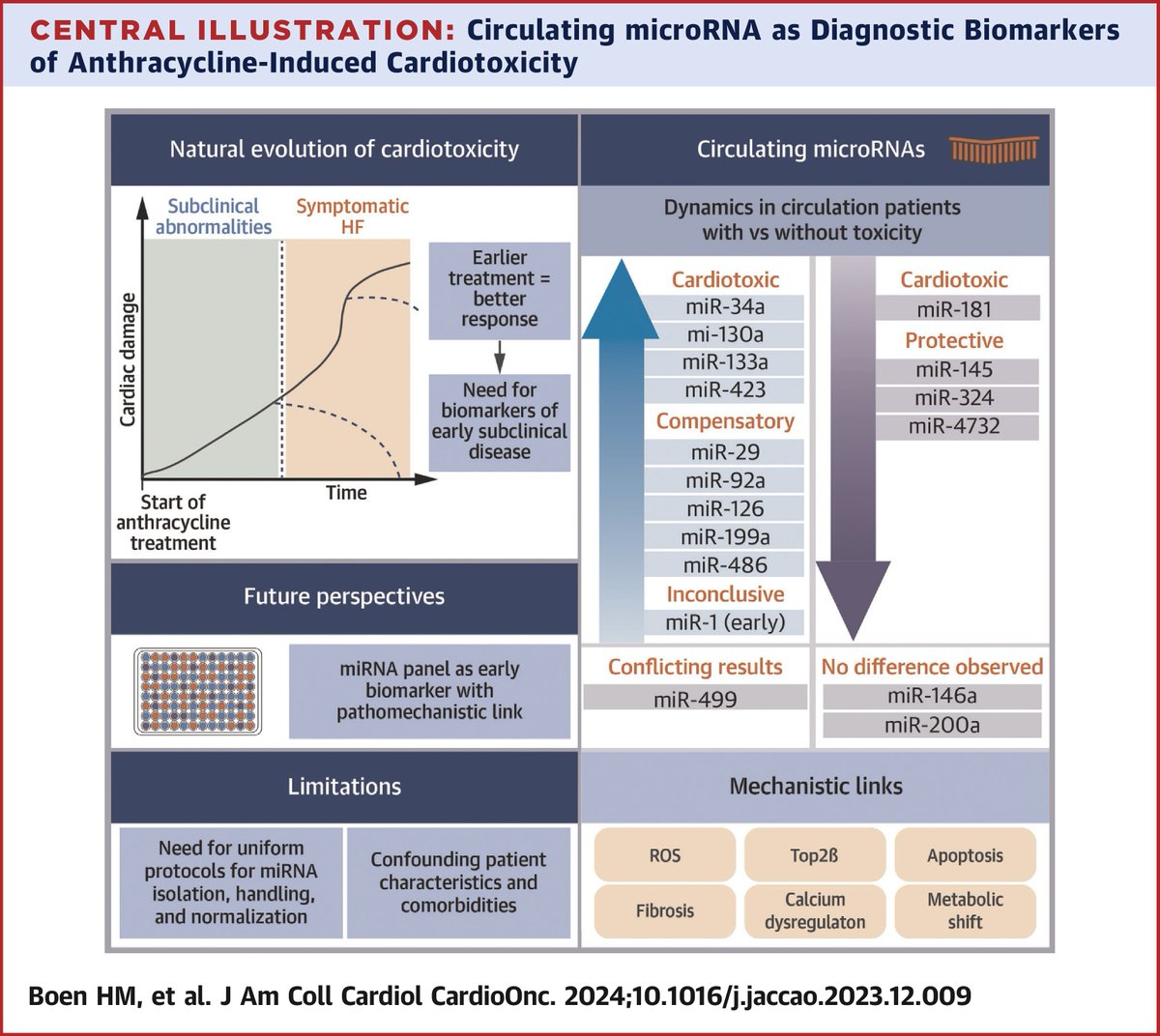 New specific biomarkers for cancer therapy-related cardiac dysfunction with a direct pathomechanistic link: Are circulating microRNAs ready for clinical practice? bit.ly/4db8vCa #JACCCardioOnc #CardioOnc #microRNAs #Anthracycline #Cardiotoxicity