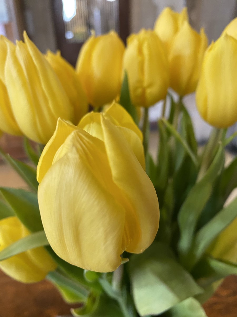 kathy_husser's tweet photo. Happy Tulips inside the oldest church in London, All-Hallows By the Tower. 💛 #ThrowbackThursday #tulips #flowers https://t.co/9FN9pbIkHo