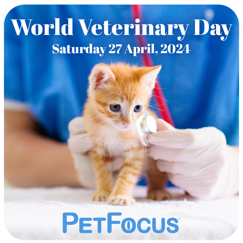 Today is World Veterinary Day! A huge thank you to all of the veterinary teams that do so much to help our pets – including our amazing PetFocus writers. Read expert advice from one of our vets here: petfocus.com/petfocus/issue… #WorldVeterinaryDay #veterinary #petcare #vetadvice