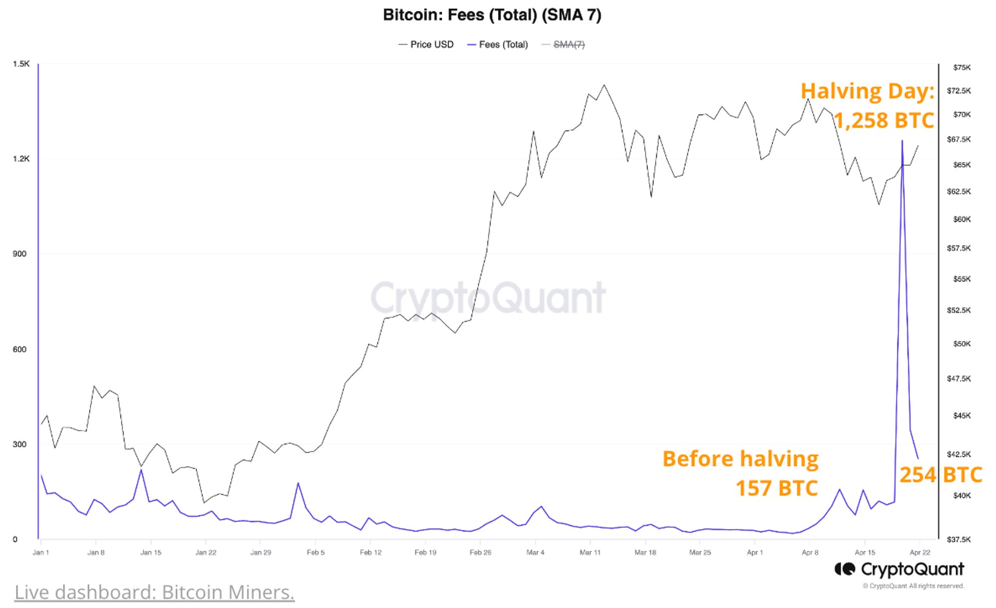 Bitcoin Runes Hype Dissipates: Why This Makes Life Difficult For Miners