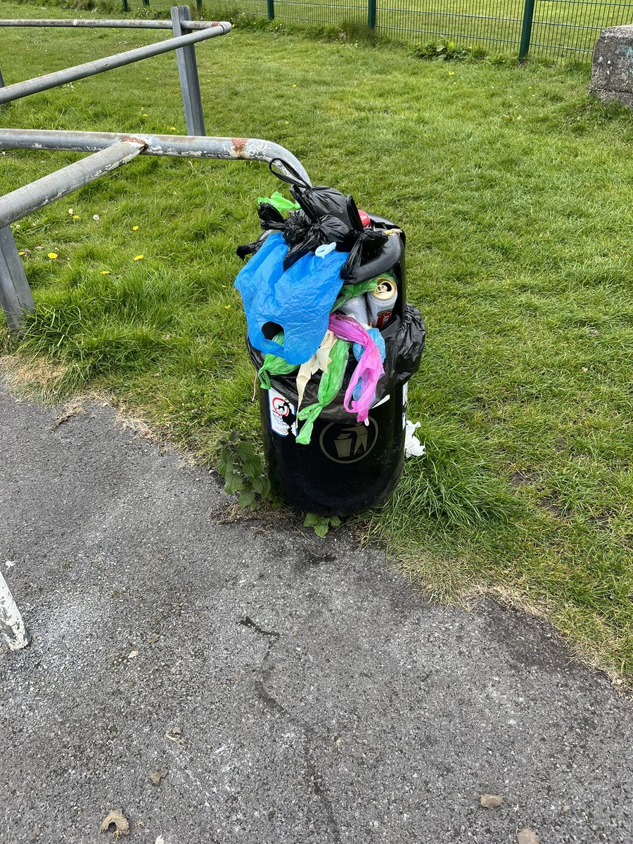 Hi <a href="/CarmsCouncil/">Cyngor Sir Gâr</a> the bins at Hendy park haven’t been emptied for a while, many thanks